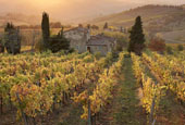 Foto Toscana 1