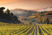 Foto Toscana 14