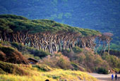 Foto Toscana 15