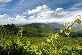 Foto Toscana 4