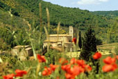 Foto Toscana 2